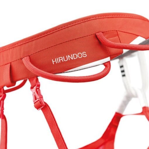 arnes hirundos 4
