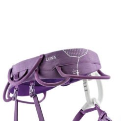 Arnes luna violeta 2