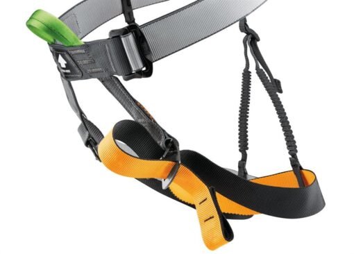 PANDION ARNES CON ANILLO PORTAMATERIAL - Imagen 2
