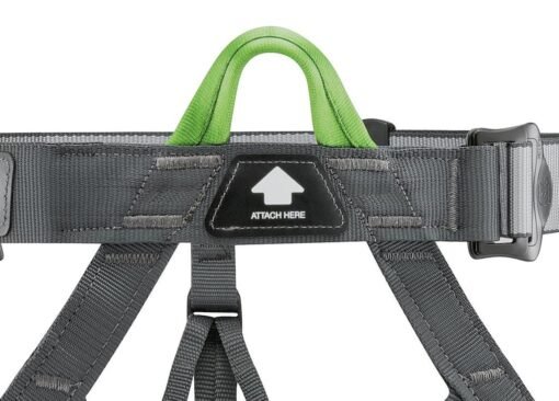 PANDION ARNES CON ANILLO PORTAMATERIAL - Imagen 3