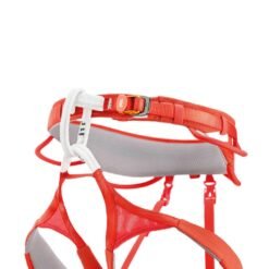 Alternative view of HIRUNDOS ARNÉS