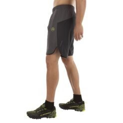 Alternative view of SUDDEN SHORT