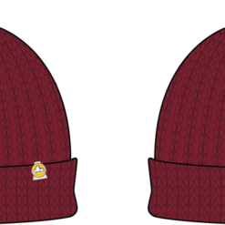 PROJECT BEANIE