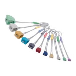 Accesorio WALLNUT SET 11 ASSORTED