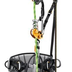 ARNES SEQUOIA SRT - Imagen 4