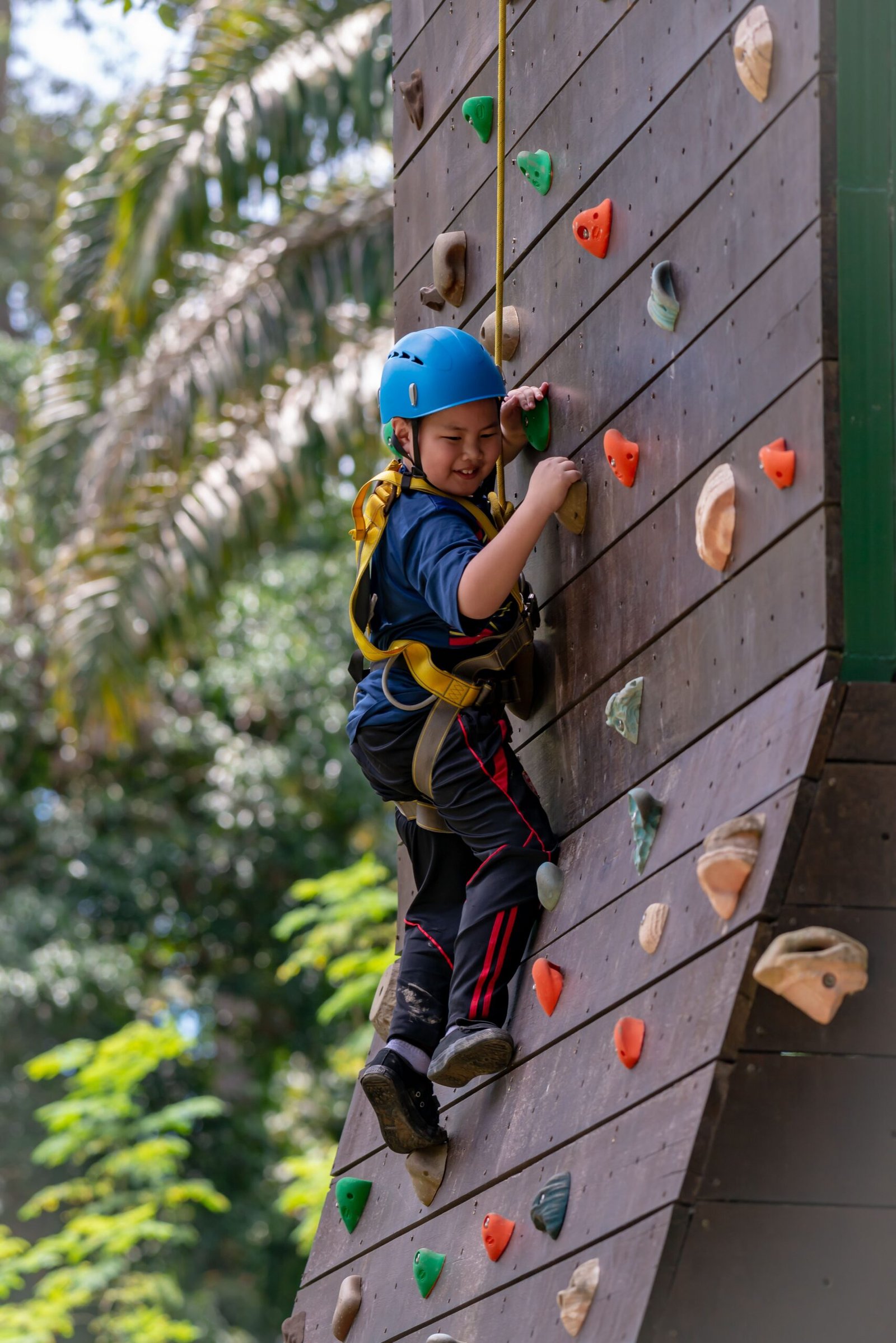 Equipo necesario para escalar en rocodromo
